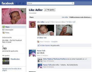 Like adler