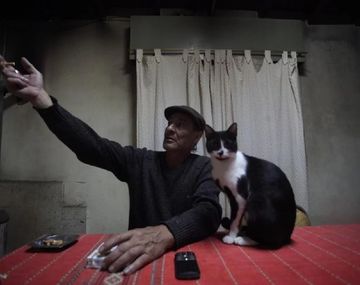 Juan Carlos Cerrudo dice haber visto un león suelto en La Plata.