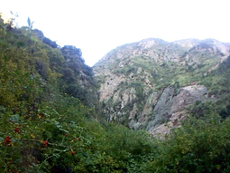 Cerca de Mendoza: el pueblo de paso con montañas y actividad minera Cerca de Mendoza: el pueblo de paso con montañas y actividad minera