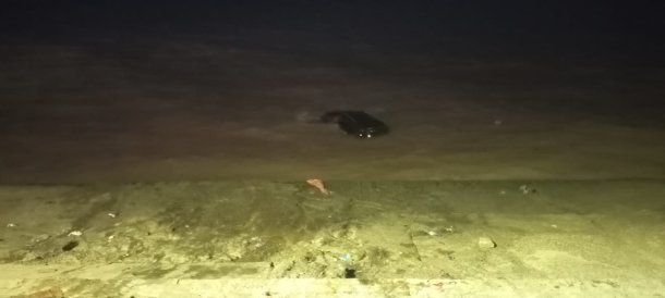 Una mujer le dio arranque a una camioneta y el vehículo terminó dentro del Río de la Plata