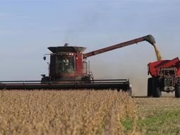 Apalancada por el campo, la economía volvió a crecer luego de un año