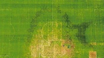 asi esta el cesped del estadio de cordoba, a dos dias del partido ante bolivia asi esta el cesped del estadio de cordoba, a dos dias del partido ante bolivia