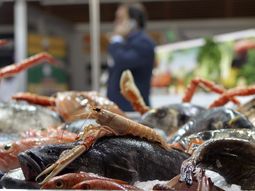 congreso de gastronomia de san sebastian congreso de gastronomia de san sebastian