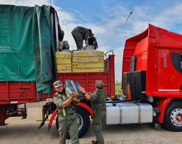 Descubren 260 kilos de marihuana ocultos en yerba mate