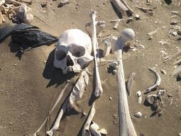 Los esqueletos encontrados en Playa Colombo datan de hace 3 mil años Los esqueletos encontrados en Playa Colombo datan de hace 3 mil años
