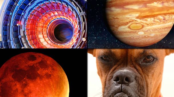 ¿Qué avances científicos pueden esperarse en 2016?