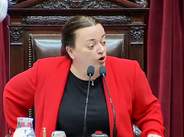 Por qué Cecilia Moreau fue la encargada de abrir la sesión en la que se rechazaron los vetos de Javier Milei