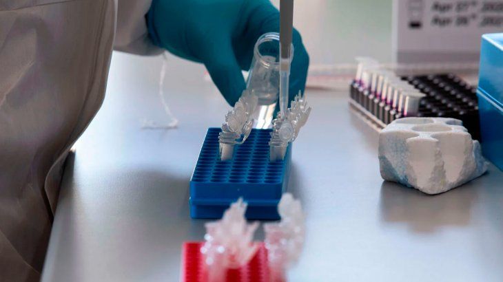 Científicos detectaron una variante uruguaya del coronavirus
