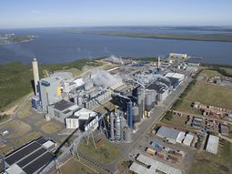 Nuevos problemas para UPM tras un accidente en Fray Bentos. Nuevos problemas para UPM tras un accidente en Fray Bentos.