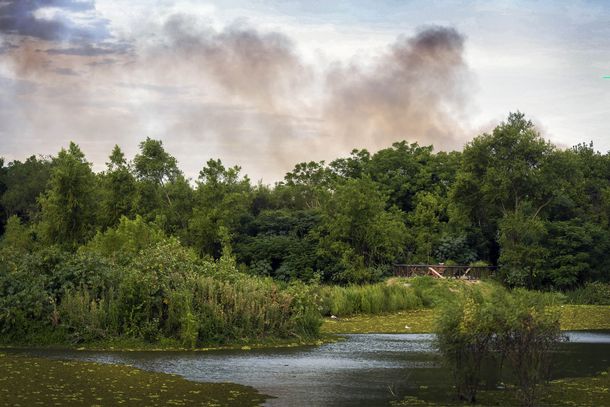 Incendio en la Reserva Ecológica de Costanera Sur: investigan si fue intencional