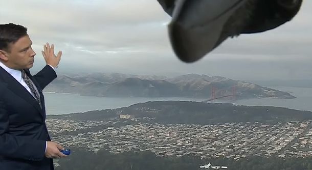 Un cuervo interrumpió el anuncio del pronóstico