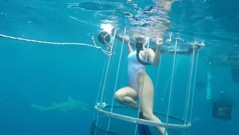 La actriz Molly Cavalli fue atacada por un tiburón La actriz Molly Cavalli fue atacada por un tiburón