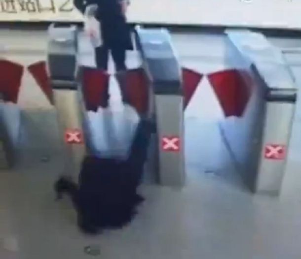 VIDEO: Se quiso colar en el subte, pero se cayó de boca al piso