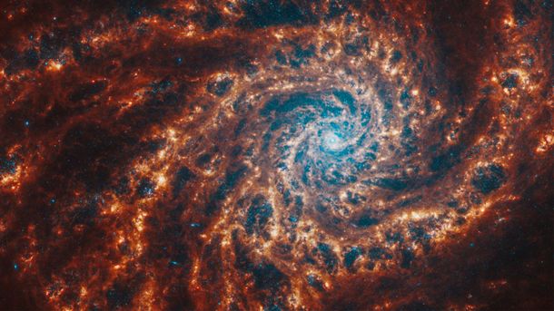 El lunes 11/11 es un día importante para el mundo esotérico y la numerología. El lunes 11/11 es un día importante para el mundo esotérico y la numerología.