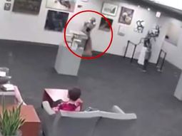 Un nene rompió una estatua de US$132 mil y les exigen a los padres que la paguen