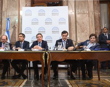 Dujovne en el Senado: Sin la ayuda del FMI el ajuste sería mucho mayor