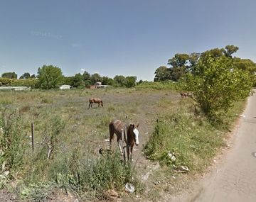 Investigan a una pareja de adolescentes por el feto  calcinado hallado en La Plata