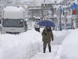 Japón: registraron al menos 17 muertes por una nevada