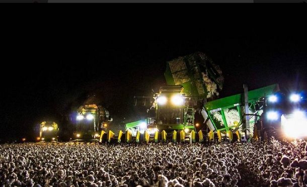 La foto viral que confundió a todos en las redes: ¿Qué es?