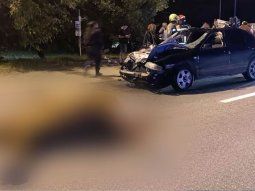 estampida de caballos provoco un choque multiple en canuelas: murio una mujer estampida de caballos provoco un choque multiple en canuelas: murio una mujer