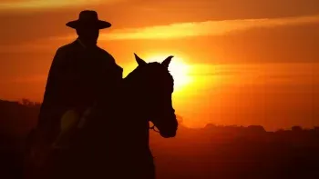 por que hoy es el dia nacional del gaucho por que hoy es el dia nacional del gaucho
