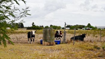 Productores agropecuarios podrán acceder a créditos de hasta 30.000 dólares ante la suba de los combustibles. Productores agropecuarios podrán acceder a créditos de hasta 30.000 dólares ante la suba de los combustibles.