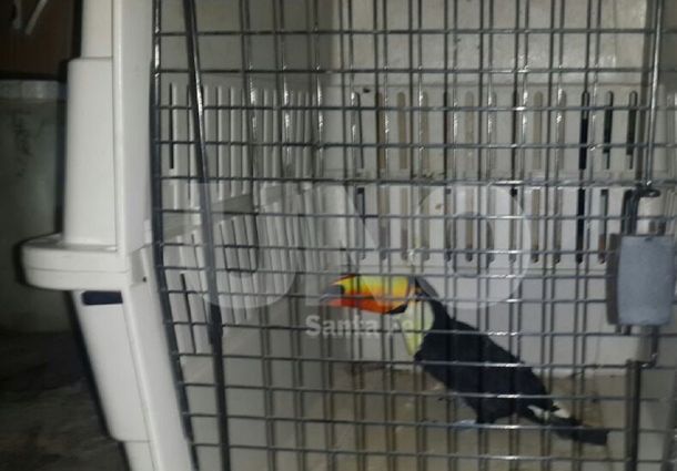 Gentileza diario Uno.