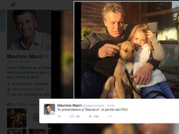 macri presento a su perro balcarce macri presento a su perro balcarce