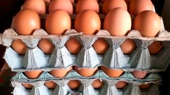 El aumento en el precio de los huevos podría ser una de las primeras consecuencias de un brote de gripe aviar en Uruguay. El aumento en el precio de los huevos podría ser una de las primeras consecuencias de un brote de gripe aviar en Uruguay.