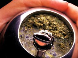 Mate