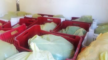 pollo, embutidos y lacteos: incautan 2 toneladas de alimentos peligrosos para la salud pollo, embutidos y lacteos: incautan 2 toneladas de alimentos peligrosos para la salud