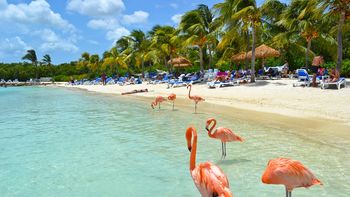 Aruba, mucho más que playas y shoppings Aruba, mucho más que playas y shoppings