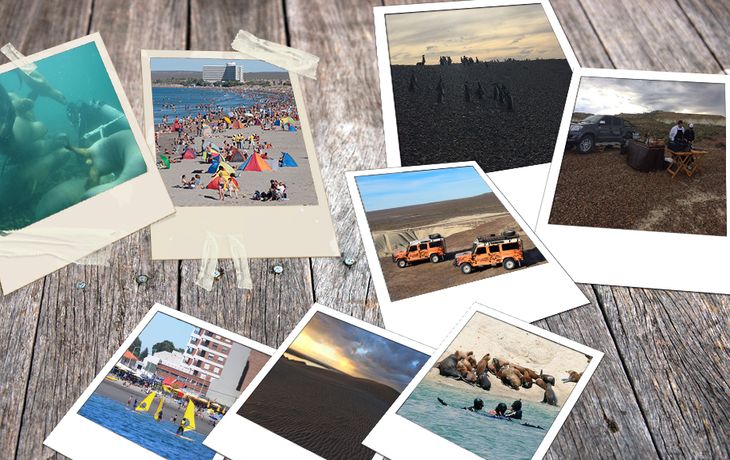 A 1300 kilómetros de Capital, Madryn ofrece un sinfín de actividades