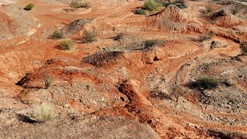 encuentran en san juan especies de dinosaurios que no eran conocidas encuentran en san juan especies de dinosaurios que no eran conocidas