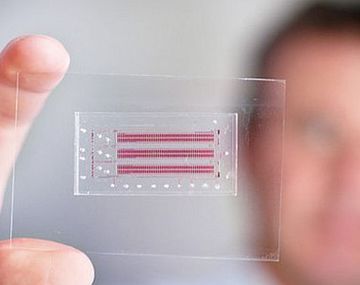 Un laboratorio en chip