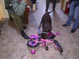 La narcobicicleta: escondían cocaína en un juguete para niños