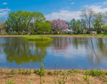El lugar para ver el atardecer cerca del río y disfrutar de la naturaleza.