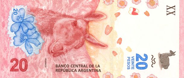 Comenzó a circular el nuevo billete de 20 pesos
