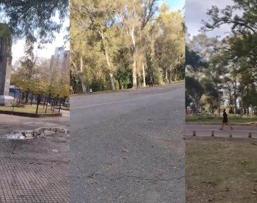 La Ciudad está llena de cagones: los videos de una mujer contra el confinamiento