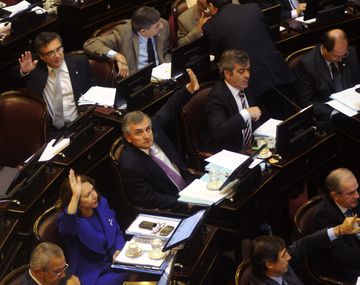 El Senado debate el proyecto de blanqueo de capitales