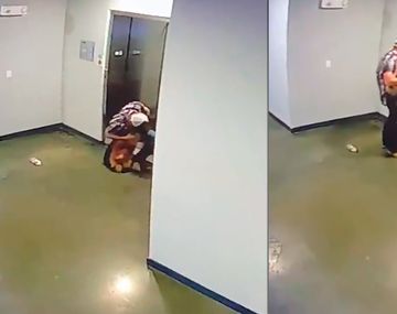 VIDEO: Salvó a un perro de morir estrangulado con su propia correa