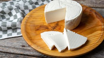 Los quesos panelas que sí son quesos: estas son las marcas con mejor calidad del mercado, según la Profeco Los quesos panelas que sí son quesos: estas son las marcas con mejor calidad del mercado, según la Profeco