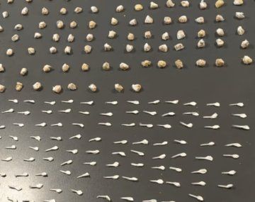 La Policía de la Ciudad cerró un búnker narco en la Villa 31: había cocaína