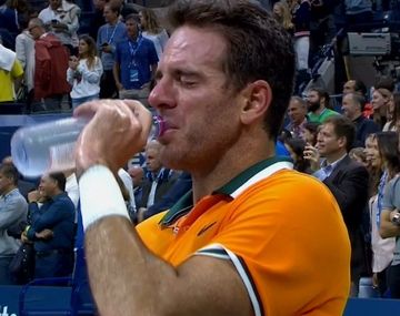 El emotivo mensaje de Del Potro luego de perder la final del US Open