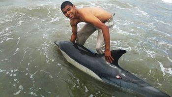 Gentileza diario Jornada. Gentileza diario Jornada.