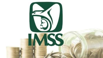 Checa lo que tiene para decir el IMSS. Checa lo que tiene para decir el IMSS.