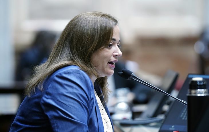 Cecilia Moreau: Los senadores de Juntos por el Cambio no tienen empatía ni responsabilidad