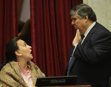 Otro papelón de Michetti: le cortó la palabra a senadores