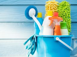 anmat prohibio todos los productos de una marca de limpieza: de cual se trata anmat prohibio todos los productos de una marca de limpieza: de cual se trata