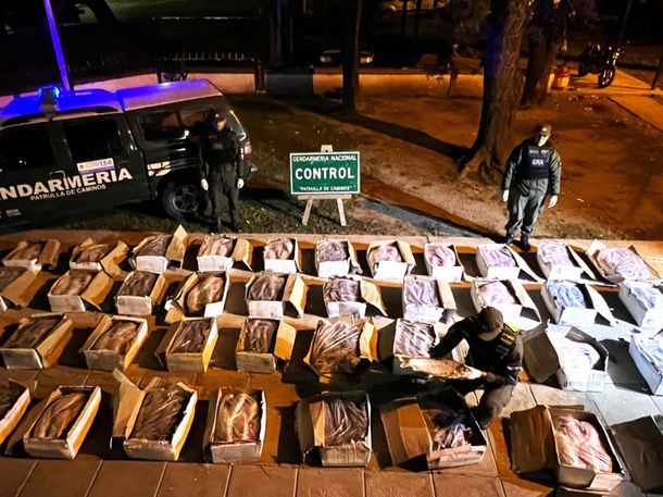 Viernes Santo insalubre: detectan una tonelada de pescado camuflado entre cajones de verdura